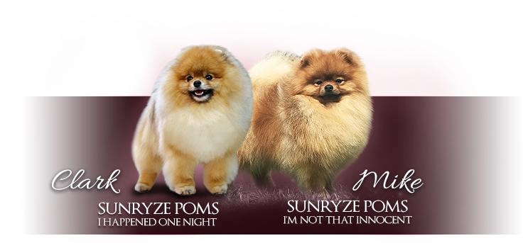 Historie chovatelské stanice