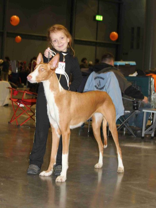 Amazonka Bohemia Platina — foto 6