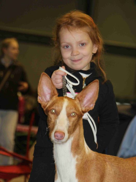 Amazonka Bohemia Platina — foto 7