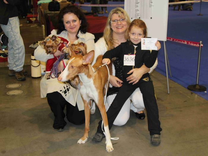 Amazonka Bohemia Platina — foto 5