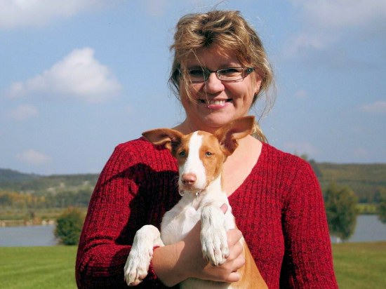 Bunny z Chrudimi — Podenco Ibicenco