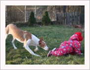 Bunny z Chrudimi — foto 8