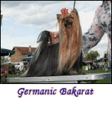 germanic