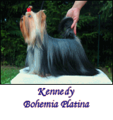 Kennedy Bohemia Platina